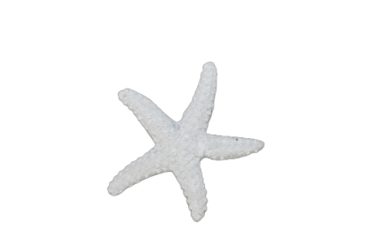 Polyresin Starfish Magnet