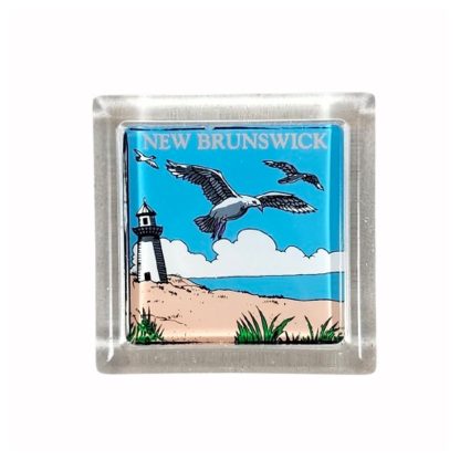 New Brunswick Seagull Magnet