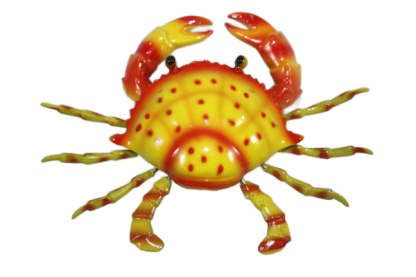 Crab Wiggle Magnet